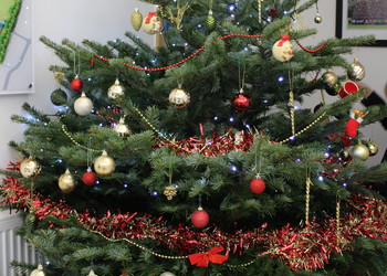 Trust Newsletter December 2018